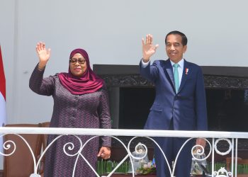Peningkatan Kerja Sama Indonesia-Tanzania dari Perdagangan hingga Kesehatan