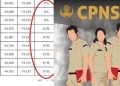 Hasil Kelulusan CPNS 2024 Diumumkan, Simak Arti Kode dan Cara Mengecek Hasilnya
