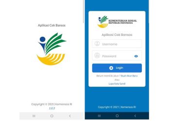 Tutorial Cek Status Penerima BPNT 2025 Melalui HP