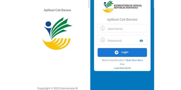 Tutorial Cek Status Penerima BPNT 2025 Melalui HP
