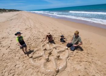 Jokowi Izinkan Kembali Pemanfaatan Pasir Laut untuk Ekspor setelah 20 Tahun Dilarang