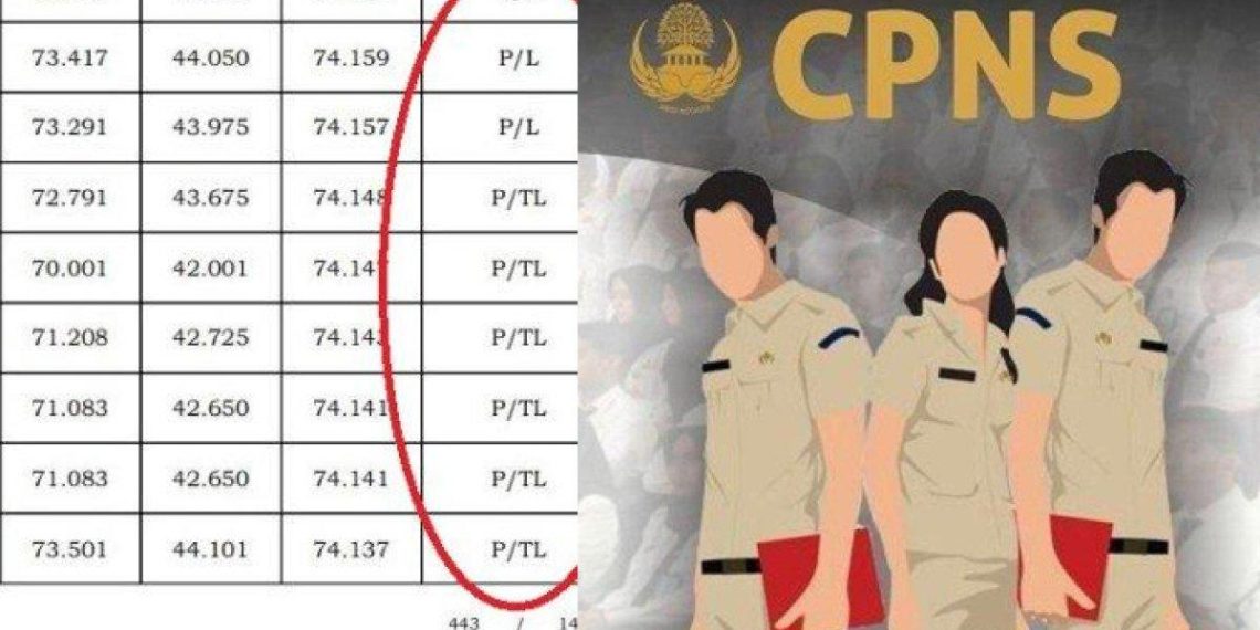 Hasil Kelulusan CPNS 2024 Diumumkan, Simak Arti Kode dan Cara Mengecek Hasilnya