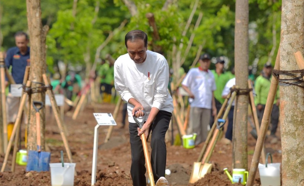 Presiden Joko Widodo dalam gerakan penanaman pohon bersama